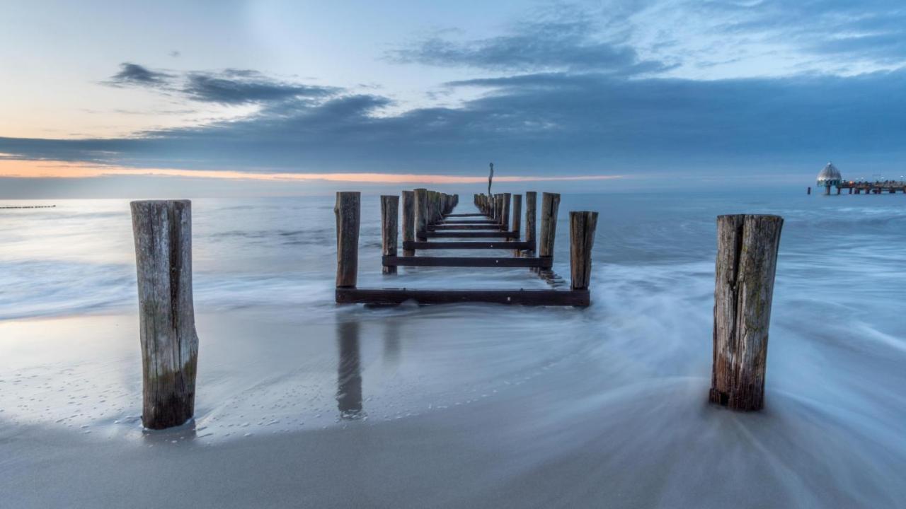 Residenz Am Strand Wohnung 1-11 Zingst Zewnętrze zdjęcie
